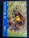 野鳥 : 原色・自然の手帖