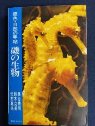 磯の生物 : 原色・自然の手帖