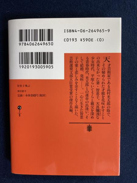 智恵子飛ぶ (講談社文庫 つ 7-8)