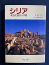 シリア : 東西文明の十字路 ＜中公文庫＞