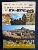 冥想するアジア : インダス/ガンジス/アンコール・ワット 驚異の世界史