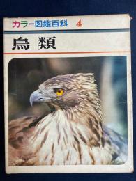 鳥類