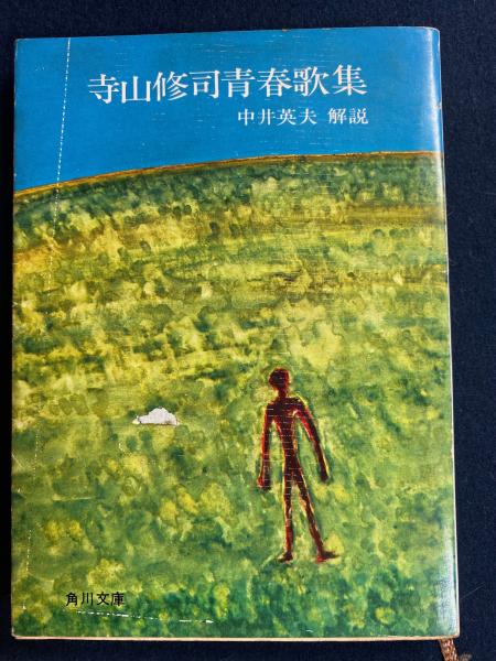 少年少女世界の名作文学 ポールとビルジ二イ フィリップ短編