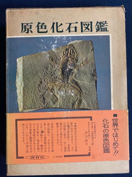 原色化石図鑑 1966年 保育社の原色図鑑 48 益富 寿之助 浜田