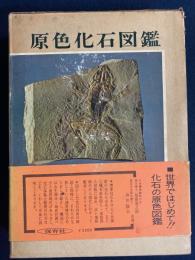 原色化石図鑑