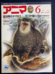 アニマ　1988-6　特集1=世界のヤマネコ　2=ブナ林