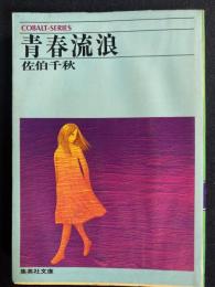青春流浪