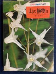 山の植物