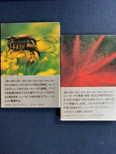 もっと遠く!―南北両アメリカ大陸縦断記・北米篇 | 開高健, 水村