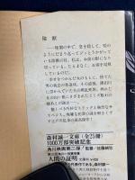 陰獣　孤島の鬼