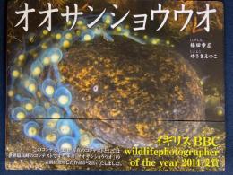 オオサンショウウオ