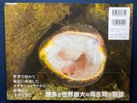 オオサンショウウオ