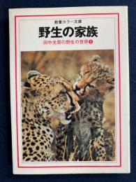 野生の家族