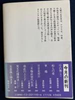異文化圏遊泳 : アメリカ・中東・中南米