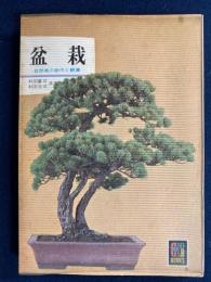 盆栽