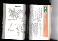 庭師の技術が分かる庭木の手入れ　日常管理と剪定のコツ