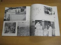 飛躍するとくしま