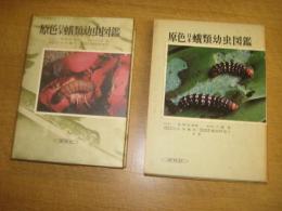 原色日本蛾類幼虫図鑑