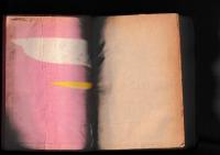 新作大衆小説全集22　片岡鉄平　生命ある河・色映ゆる時　