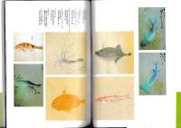 江戸諸国産物帳　丹羽正伯の人と仕事