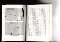 写楽・その謎にいどむ