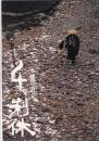 （映画パンフレット）千利休　本覺坊遺文