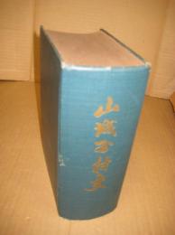 山城谷村史