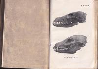 古代の漁猟　考古学及び化石動植物学上より見たる日本古代の食糧と漁猟の話