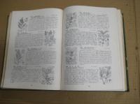 牧野新日本植物図鑑