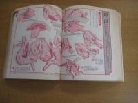 完全図解　包丁さばき早わかり百科　だれでも、見ながら、すぐできる