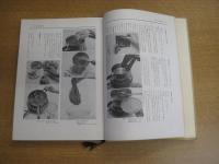 改訂基礎日本料理　