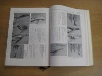 改訂基礎日本料理　