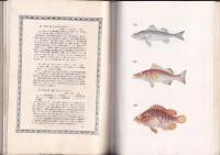 原色日本魚類図鑑
