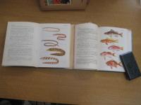 原色日本魚類図鑑　全正続２冊