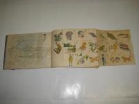 学校・家庭・教育資料　写画（ウツシエ）手本（二）　