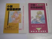 (同人誌) 小説突然最終回　１１冊　準備号・創刊号～４号 7号～12号　書名は画像をご参照ください。　
