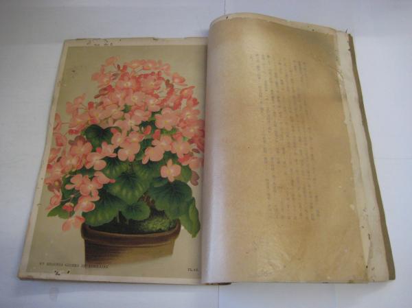 園芸植物図譜 with Flowers & Greens 平凡社 園芸植物図譜 with Flowers & Greens 平凡社