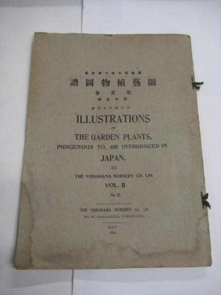 園芸植物図譜 園芸植物図譜 第弐巻拾弐輯 大正四年五月号 アイリス 石版画6枚(横浜
