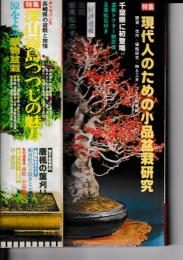 「近代盆栽」 盆栽総合誌　６冊　1980・１２月/81・8/86・6/88・3/89・9/91・１2月号　