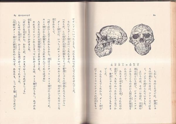 古代発掘物語全集4 砂漠となぞの壁画(江上波夫他監修 たかはし
