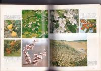 花の歳時記　５冊　　巻１－５ (全８巻の内 )　　