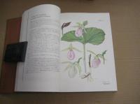 原色日本のラン　日本ラン科植物図鑑
