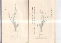 （複刻）華道家元 華の實　生華栞の巻　