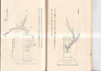 （複刻）華道家元 華の實　生華栞の巻　