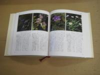 改訂増補茶花植物図鑑