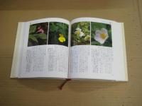 改訂増補茶花植物図鑑