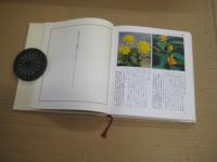 改訂増補茶花植物図鑑