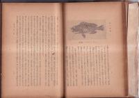 魚の常識　