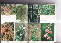 徳島の自然　動物・徳島市民双書11　/　植物・徳島市民双書１２　２冊