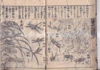 増補頭書訓蒙図彙大成（一～五）　５冊